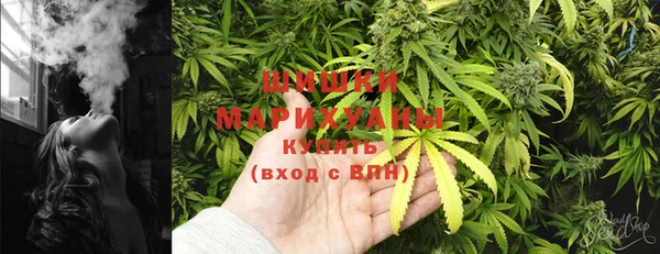 спайс Алзамай