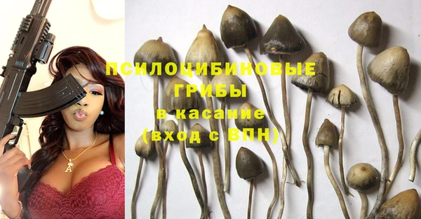 бутират Алексеевка