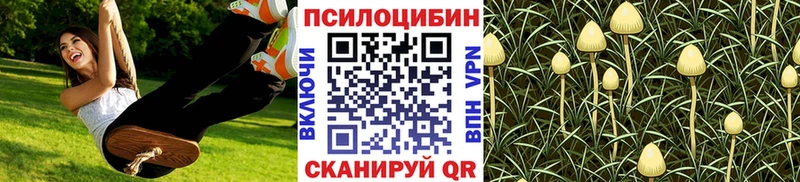 наркотики  Котовск  Галлюциногенные грибы ЛСД 